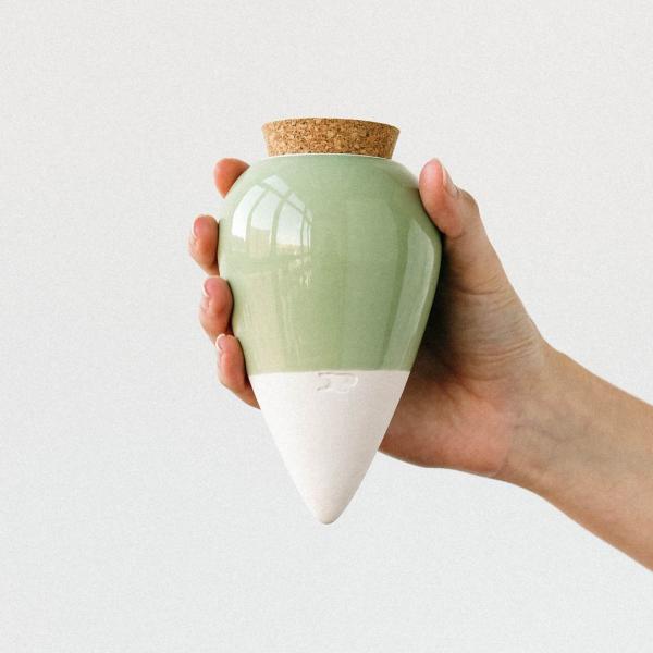 Pépin - Olla - Vert - face recto
